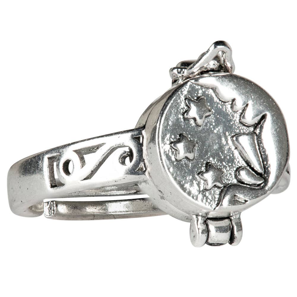 ADJUSTABLE MOON & STAR POISON RING