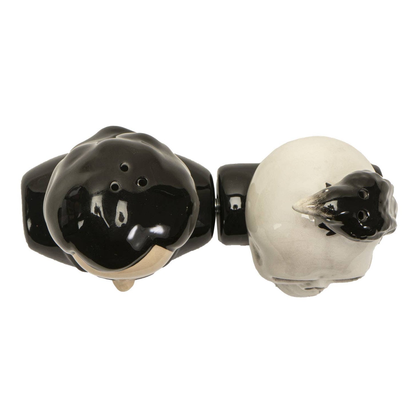 Edgar Allen Poe Ceramic Salt & Pepper Shaker Set